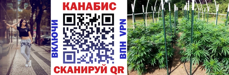 Купить наркотик аптеки Камбарка Каннабис  Галлюциногенные грибы  ГАШ 