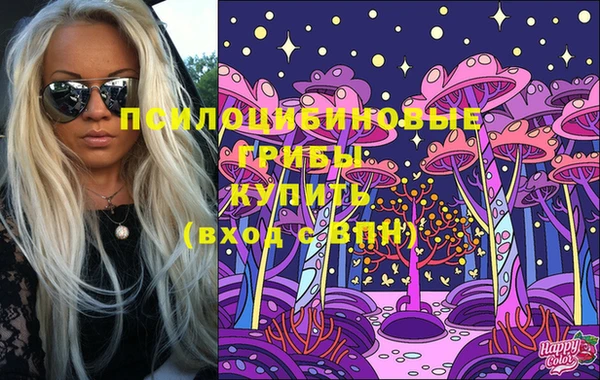 a pvp Алексин