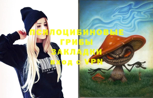 a pvp Алексин