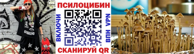 как найти закладки  Камбарка  Псилоцибиновые грибы Psilocybine cubensis 